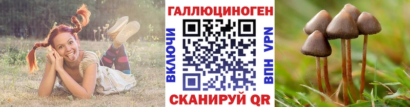 Купить закладки  Аргун  Галлюциногенные грибы Psilocybine cubensis 